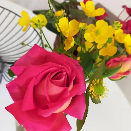 Casina Gentili * Perugia